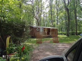 Location mobil-home, ile de France, Havre de paix au coeur d' une forêt avec piscine